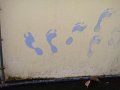 DSC04701