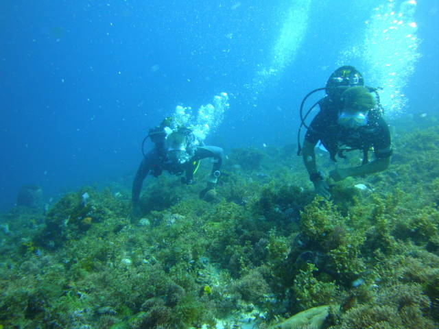 DSC02898.jpg