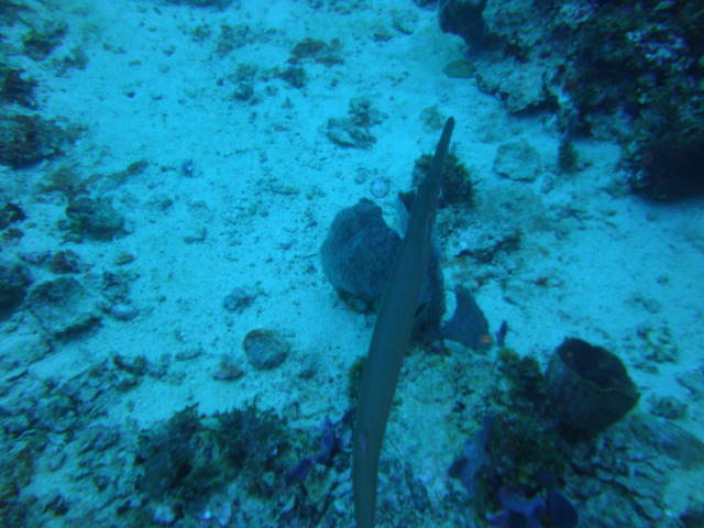 DSC02900.jpg