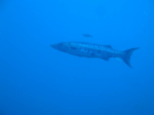 DSC02903.jpg