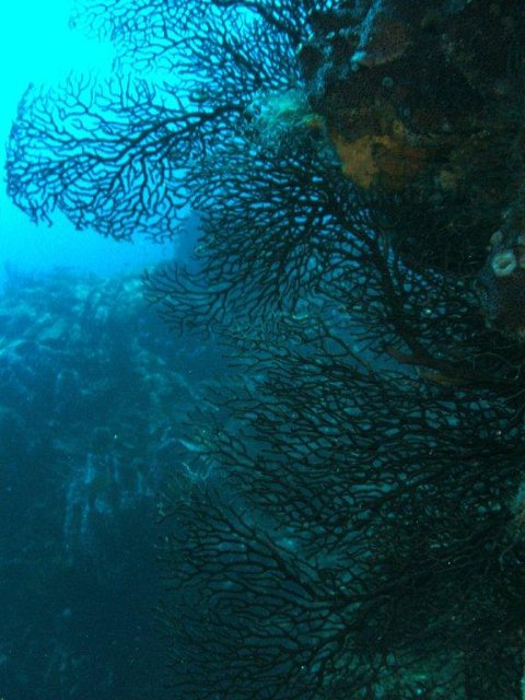 028.jpg
