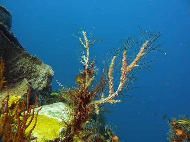 P1050418.jpg