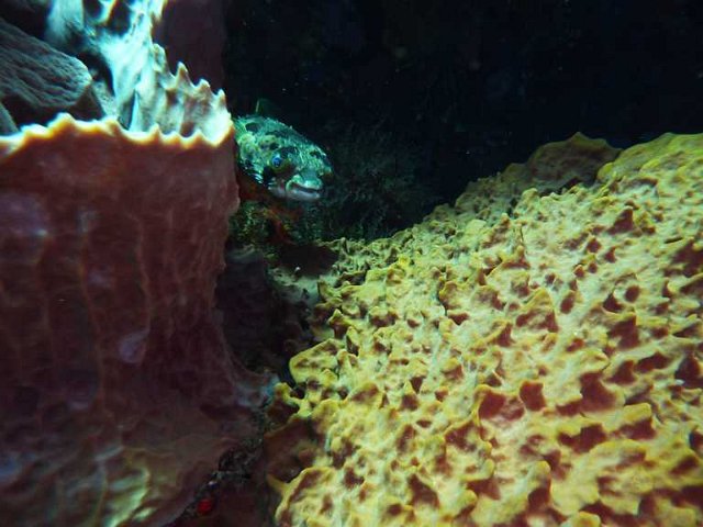 P1050421.jpg