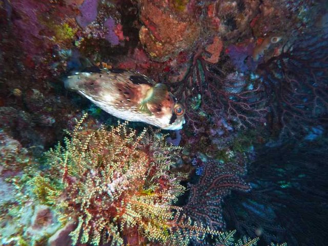 P1050424.jpg