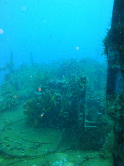 DSC02950.jpg