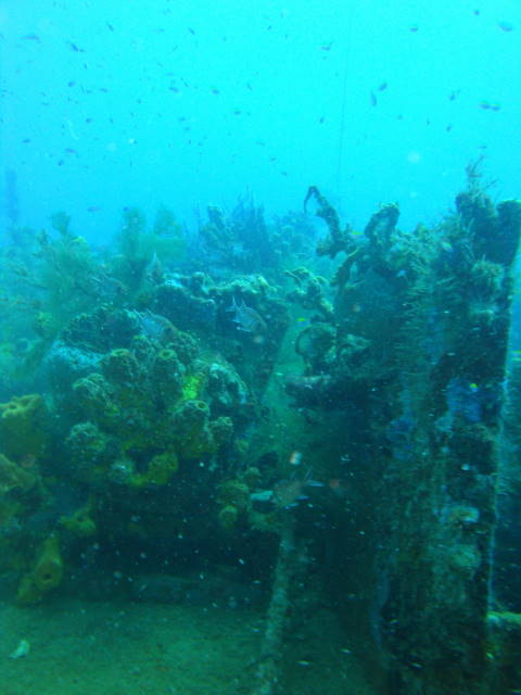 DSC02951.jpg