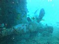 DSC02935