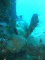 DSC02936