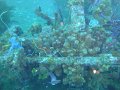 DSC02957