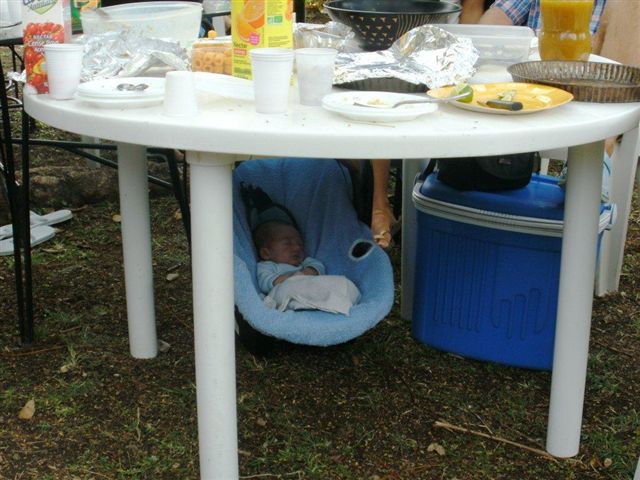 PICT0073.jpg